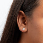 Monstera Palm Leaf Silver Earrings