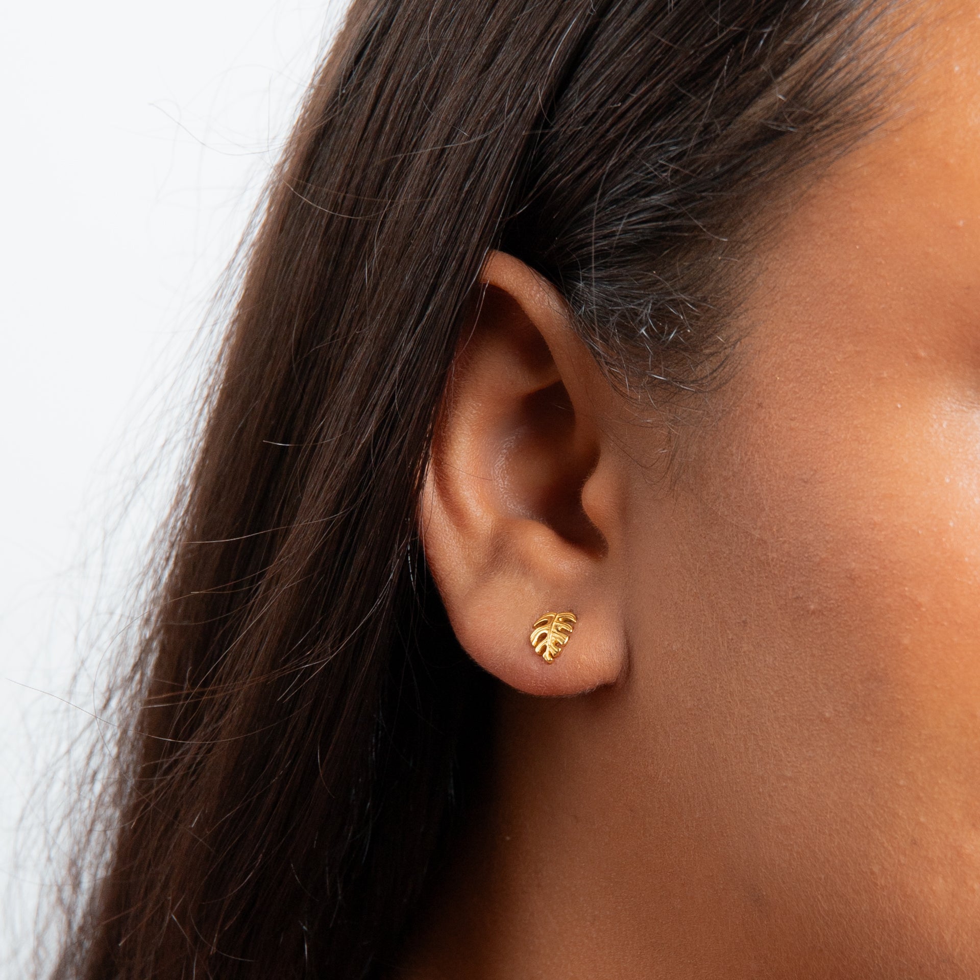 Gold Plated Monstera Palm Leaf Earrings