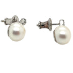 Jersey Pearl - Freshwater Pearl and Sterling Silver Earrings