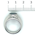 Ti Sento Silver and Grey/Blue Stone Ring