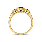 9ct Yellow Gold Octagon Garnet Rubover Set 3 Stone Ring - view 2