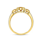 9ct Yellow Gold Octagon Citrine Rubover Set 3 Stone Ring - view 2