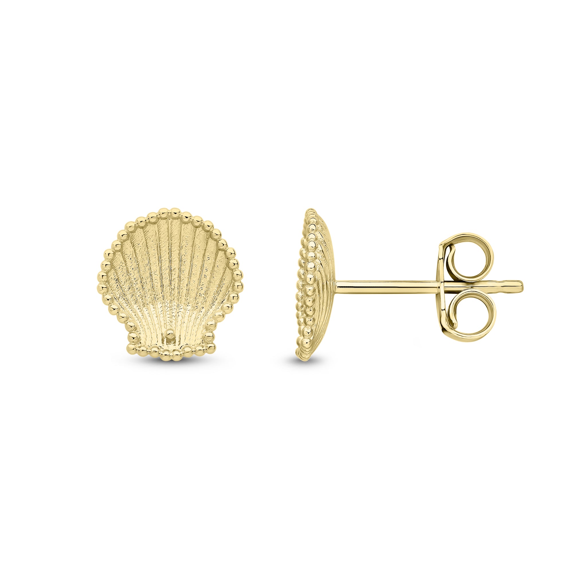 9ct Yellow Gold Textured Shell Stud Earrings